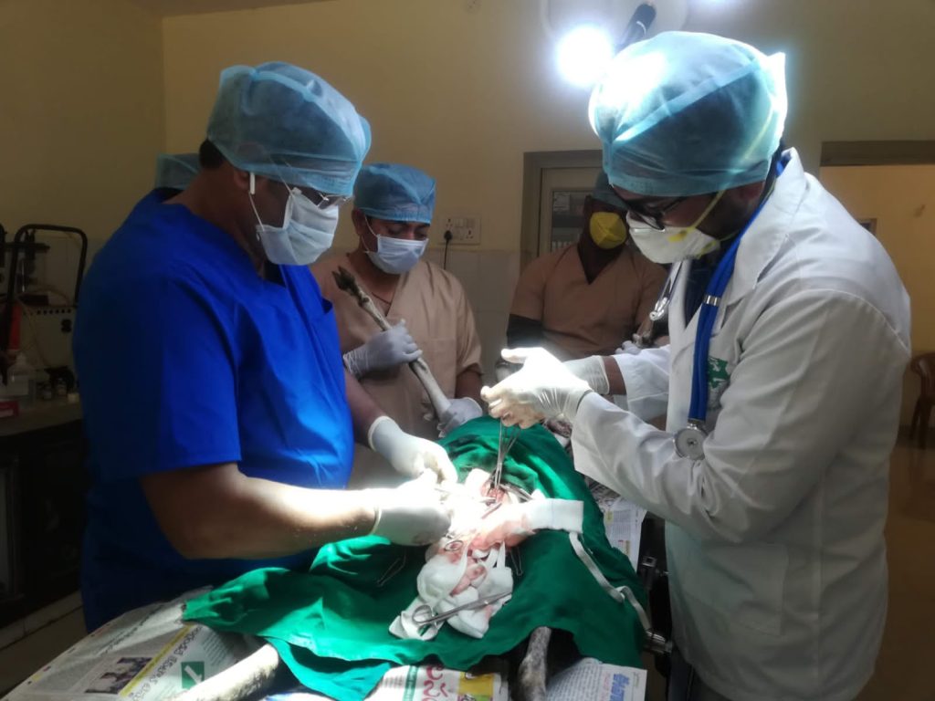 VET (1)
