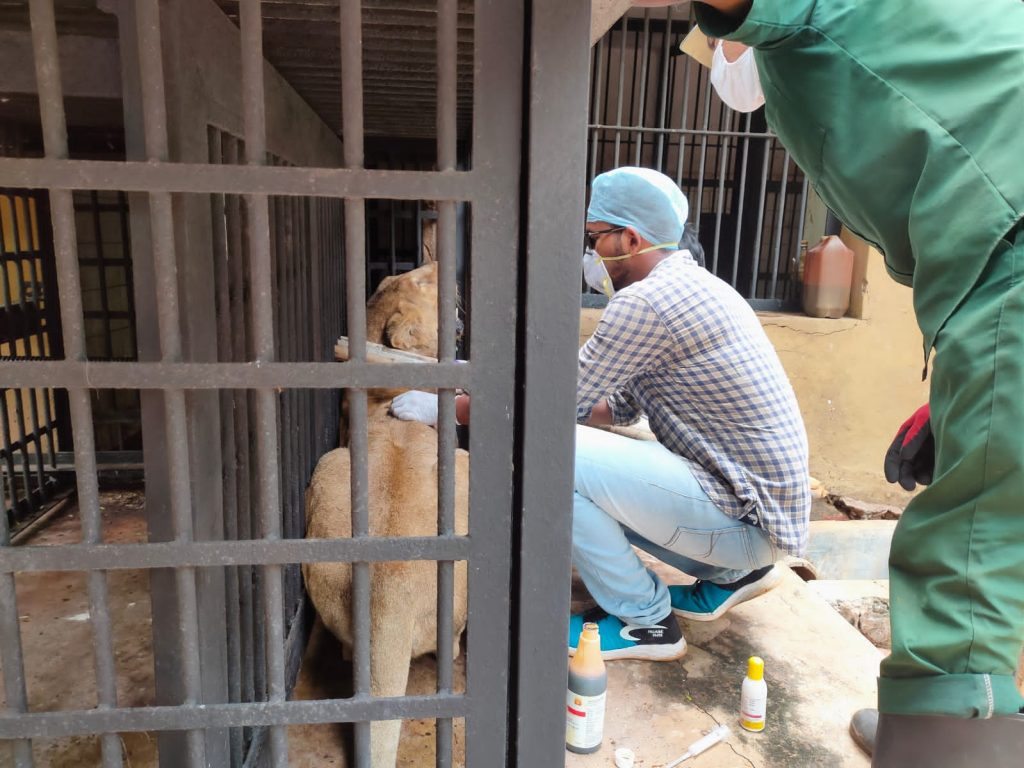 VET (9)