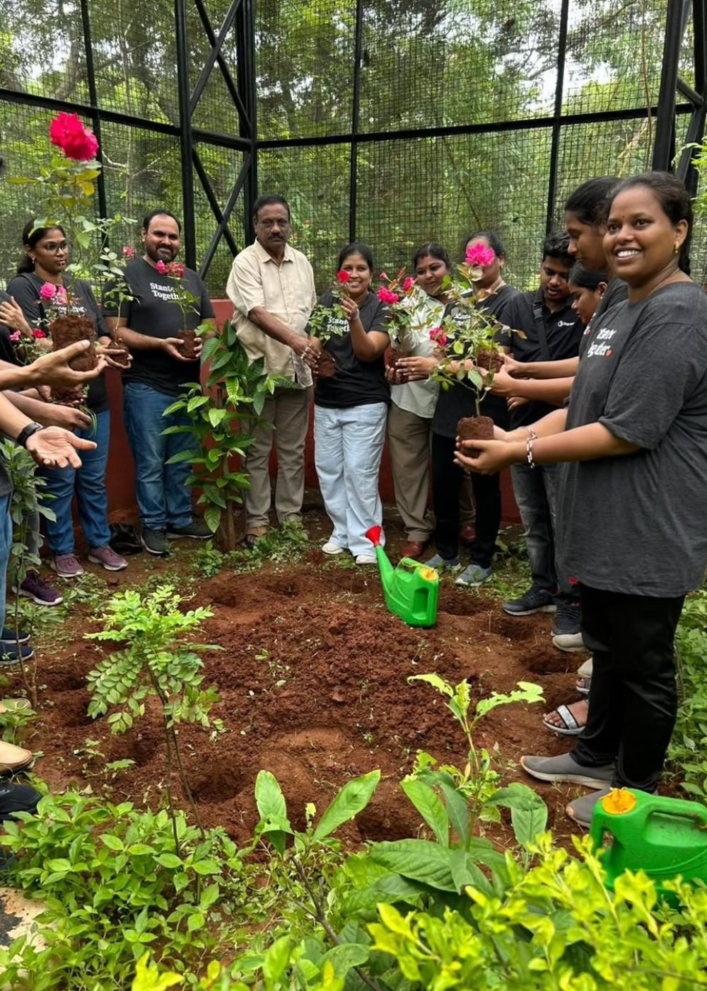 PLANTATION (2)